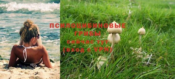 стафф Пестово