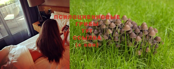 стаф Остров