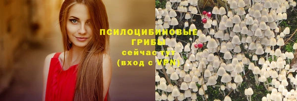 прущая мука Ленинск-Кузнецкий
