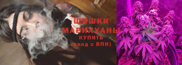 молекула духа Дмитровск