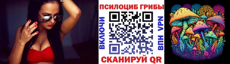 наркота  Пущино  Галлюциногенные грибы Psilocybe 